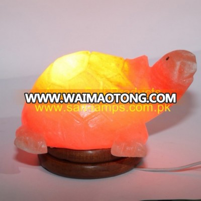 Himalayan Turtle Salt Lamp/ Pink Animal Rock Salt Lamps