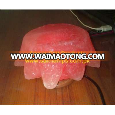 Himalayan Tiny USB / LED / Computer / Color Salt Lamps