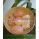 Salt Soap /Massage Stone / Salt Body Care Product / Bath Salt Soap / Bath Salt / Bath Salt Soap